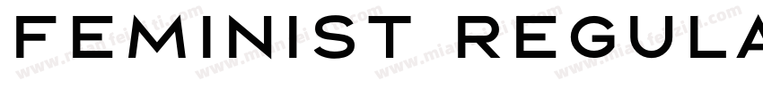 Feminist Regular字体转换